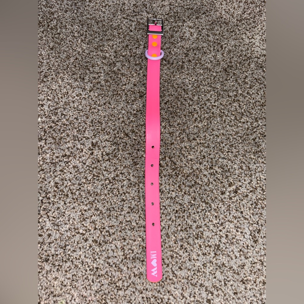 Vibrant Pink Dog Collar with Heart Design